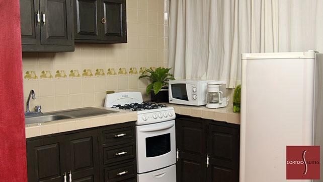 Cortizo Suites San Miguel de Allende Ngoại thất bức ảnh